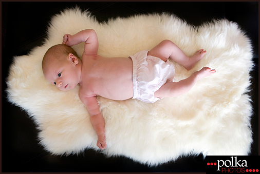 Los Angeles baby portrait photographer Polka Photos