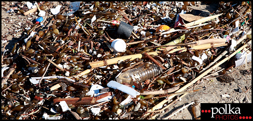 junk washed-up Dockweiler Beach Los Angeles