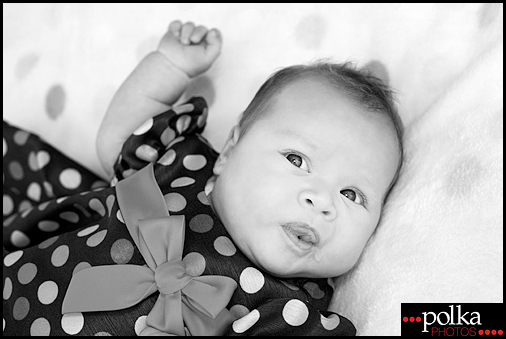 Los Angeles baby portrait photographer