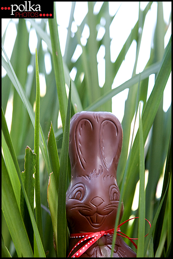 Easter bunny Playa del Rey photographer