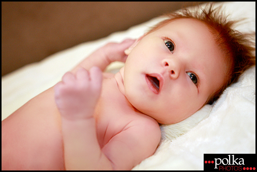 newborn, photographer, Los Angeles