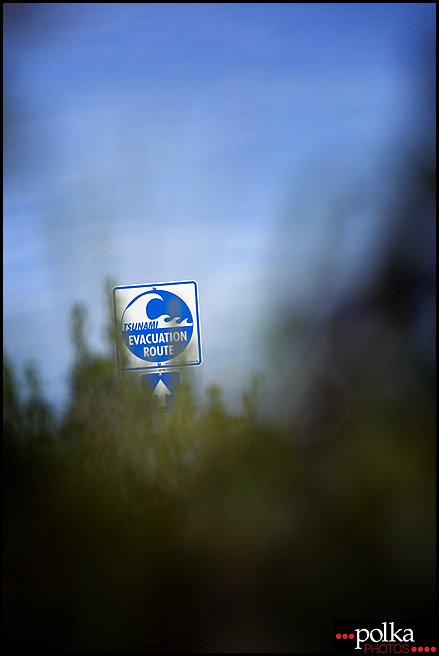 Playa del Rey wedding photographer, Playa del Rey, California tsunami, California