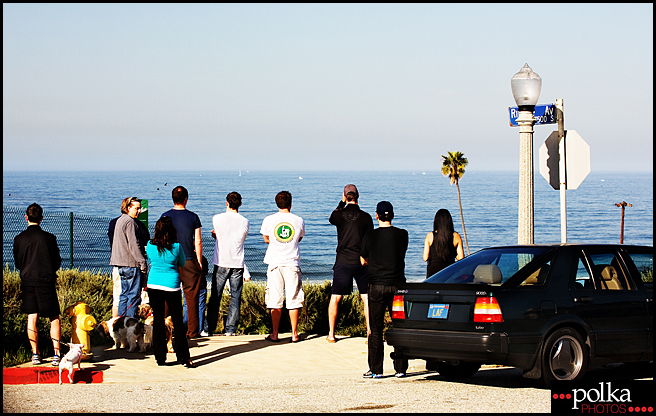 California tsunami, Playa del Rey, California