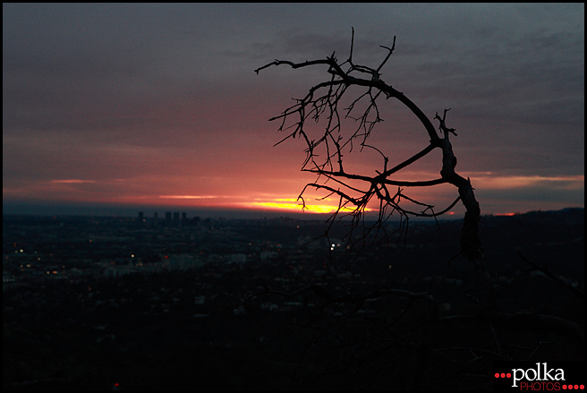 photographer, Los Angeles