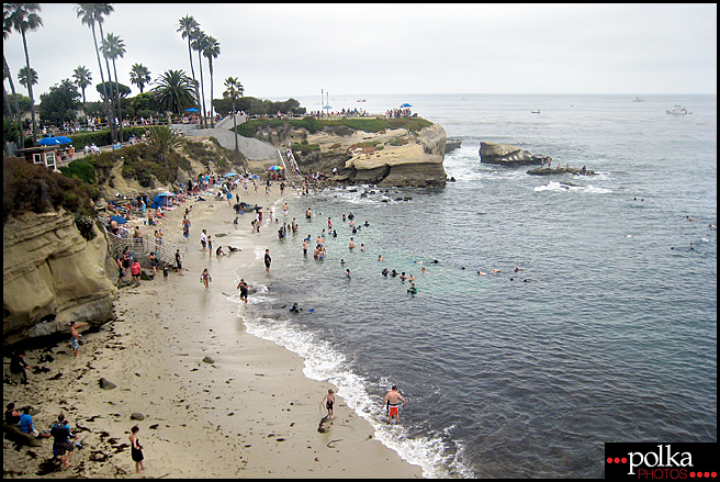 La Jolla snorkeling, snorkeling, La Jolla Cove, California, fish, ocean