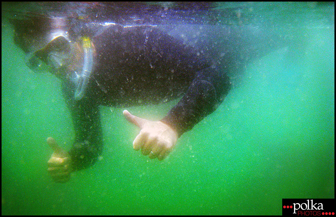 La Jolla snorkeling, snorkeling, La Jolla Cove, California, fish, ocean