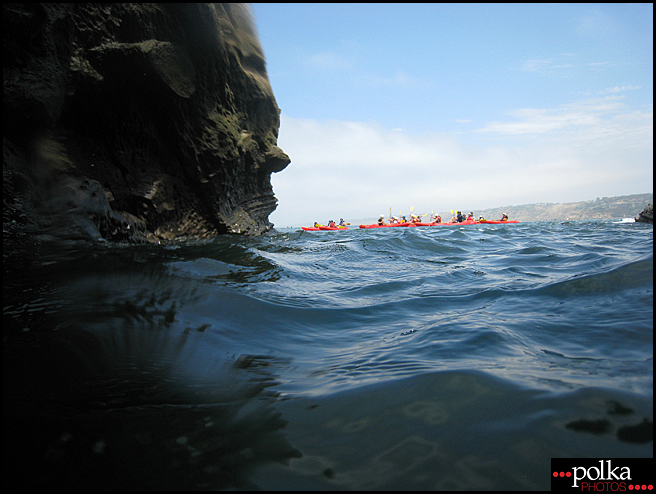 La Jolla snorkeling, snorkeling, La Jolla Cove, California, fish, ocean