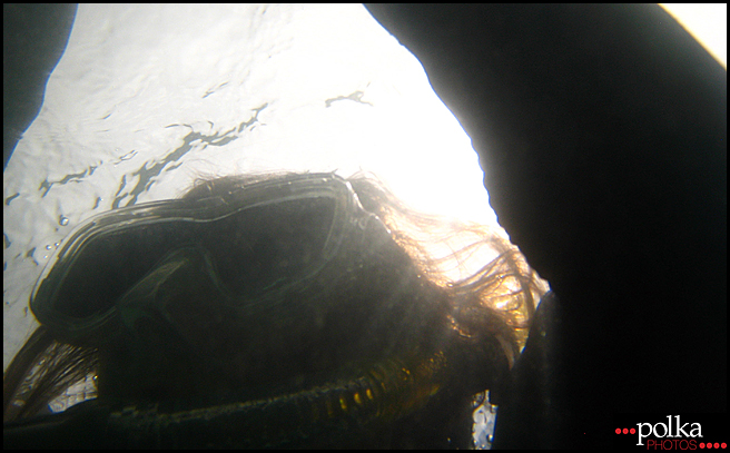 La Jolla snorkeling, snorkeling, La Jolla Cove, California, fish, ocean