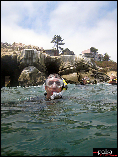 La Jolla snorkeling, snorkeling, La Jolla Cove, California, fish, ocean