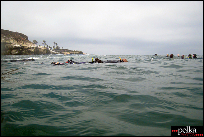 La Jolla snorkeling, snorkeling, La Jolla Cove, California, fish, ocean