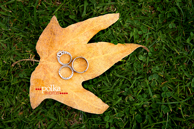 los angeles wedding photographer, fall wedding, autumn wedding, leaf, leaves, yellow, wedding rings, wedding bands, Griffith Park, Griffith Park wedding photographer